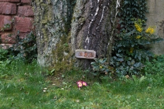 anonymesGrabfeld-8632