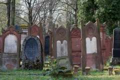 israelisch_reihe#3-8501