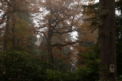 nordfriedhof_portrait1