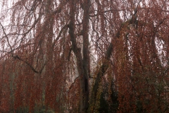 nordfriedhof_portrait10