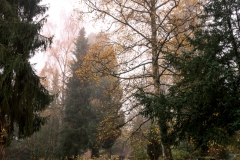 nordfriedhof_portrait13