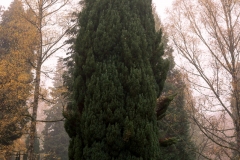 nordfriedhof_portrait14