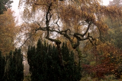 nordfriedhof_portrait16