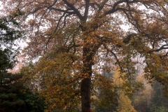 nordfriedhof_portrait23