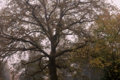 nordfriedhof_portrait24