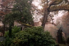 nordfriedhof_portrait25