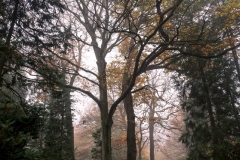 nordfriedhof_portrait31