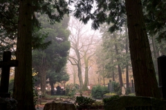 nordfriedhof_portrait32