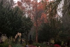 nordfriedhof_portrait4