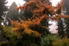 nordfriedhof_portrait5
