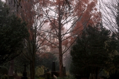 nordfriedhof_portrait6