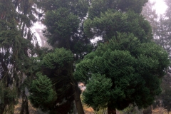 nordfriedhof_portrait7