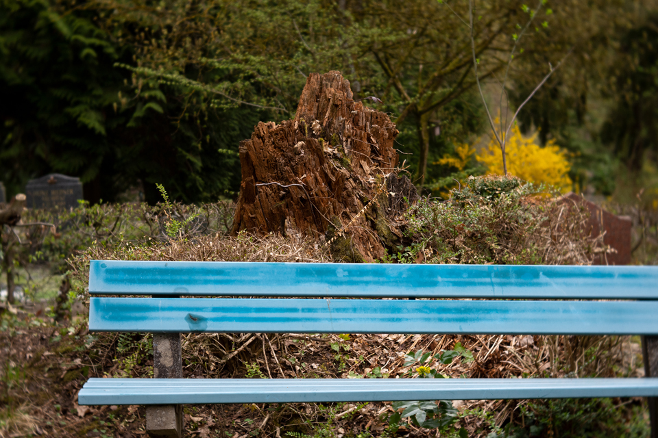 Nordfriedhof_April_2018#43-9425