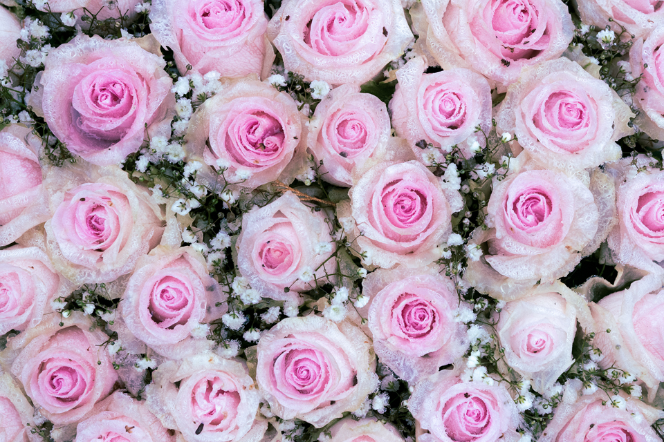 nordfriedhof_Weihnachten_2018#5-1519