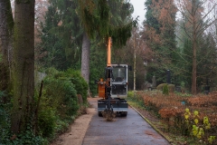 nordfriedhof_Weihnachten_2018#1-1359