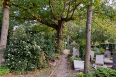 St_Petrus_Banden16-1906