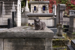 f_montmartre#1-2414