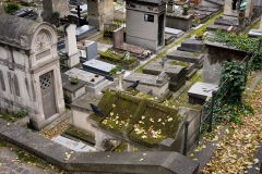 f_montmartre#15-2365