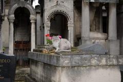f_montmartre#2-2409