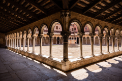 venice239