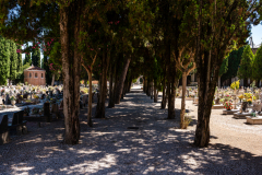 venice281