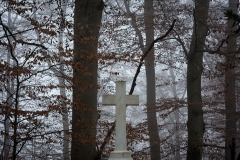 kreuz_mauer-5426