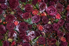 rosen-5374