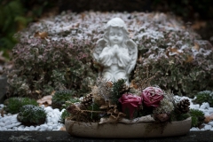 rosen_engel-5398
