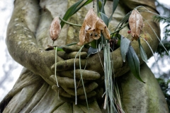 welke_blumen-5348