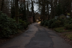 wh_weg_licht-6599