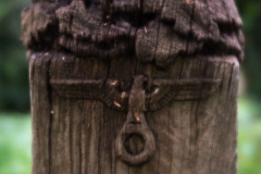 ohlsdorf_11-8621