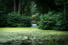 ohlsdorf_2-8572