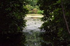 ohlsdorf_38-8789