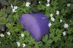 giesskanne_versunken-8733