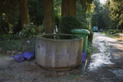 giesskannen_lkw-3541