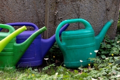 nordfriedhof_Giesskanne_Reihe-8731