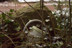 nordfriedhof_feb18#10-6592