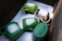 nordfriedhof_feb#33-6964