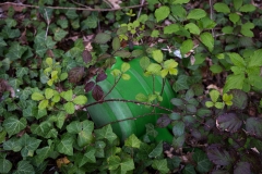 verwachseneGieskanne-9347