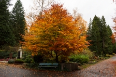 Wiesbaden_Nordfriedhof_201811#10-0435