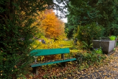 Wiesbaden_Nordfriedhof_201811#13-0460