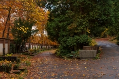 Wiesbaden_Nordfriedhof_201811#18-0488