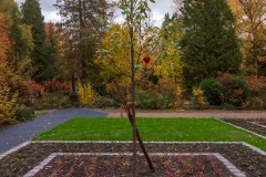 Wiesbaden_Nordfriedhof_201811#33-0570