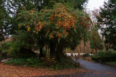 Wiesbaden_Nordfriedhof_201811#38-0832