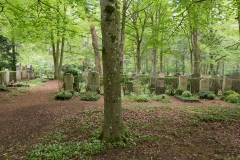baum_grabfelder-0615