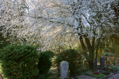Nordfriedhof_2020031-2990