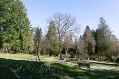 Nordfriedhof_2020033-2999