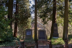 nordfriedhof_2020037-3023