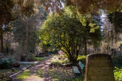 nordfriedhof_2020038-3032