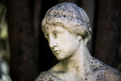 nordfriedhof_202004-6703